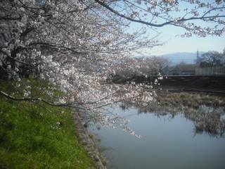 yamamotoyamamoto 040.jpg
